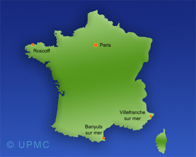 carte de France