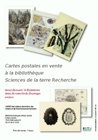 affiche CADIST 