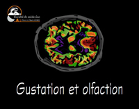 neurosciences
