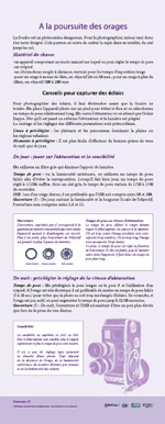 panneau13
