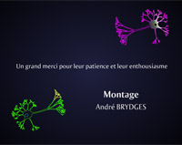 neurones