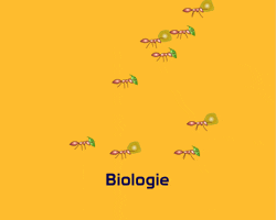 biologie