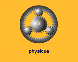 physique