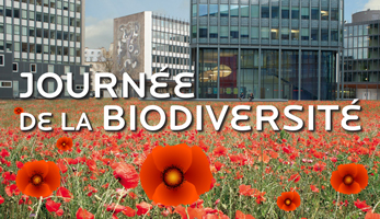 biodiversite